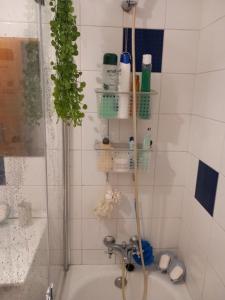 a bathroom with a bath tub with a shower at Efd Varzea Park in Funchal