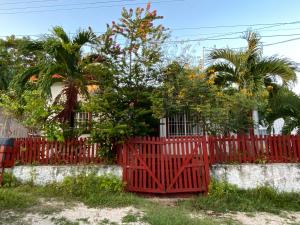 Zahrada ubytování Casa Maya Xul-Ha + 1 fotografie