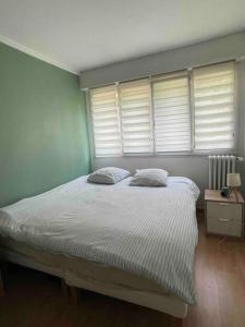 Le Pecq的住宿－Appartement jardin à 20 minutes de Paris centre，一间卧室配有一张带两个枕头的床