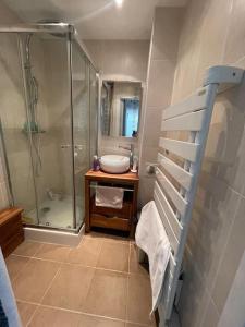 Le Pecq的住宿－Appartement jardin à 20 minutes de Paris centre，带淋浴和盥洗盆的浴室