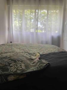 a bed with a pillow and a window with curtains at Appartement jardin à 20 minutes de Paris centre in Le Pecq