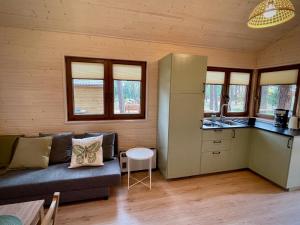a living room with a couch and a kitchen at Domek w Borsku in Borsk