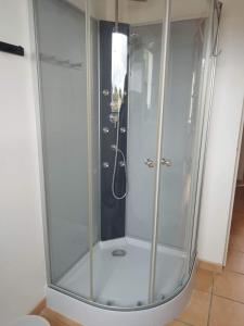 a shower with a glass enclosure in a bathroom at Le numéro 2 in Mirepeisset