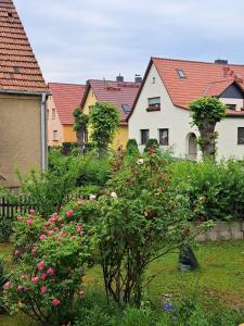 a group of houses with flowers in a yard at Ferienwohnung Rosengarten in Ballenstedt