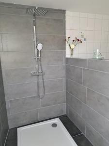 a bathroom with a shower with a toilet at Ferienwohnung Rosengarten in Ballenstedt