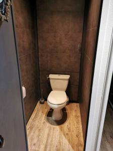 uma pequena casa de banho com WC numa cabina em Appartement Termignon Val Cenis em Termignon