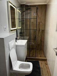 a bathroom with a toilet and a shower at Apartman Kosuta Lux in Tjentište
