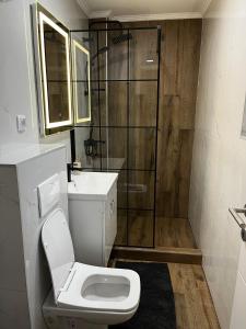 a bathroom with a toilet and a shower at Apartman Kosuta Lux Garden in Tjentište +22 photos