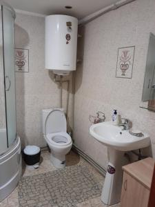 Kúpeľňa v ubytovaní Котеджі "У Яни"
