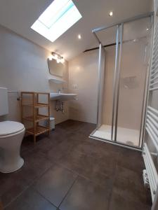 een badkamer met een douche en een toilet bij Neubauhof in Reith im Alpbachtal