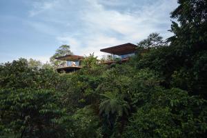 Κήπος έξω από το ACHIOTÉ Architectural Gem - Adults Only