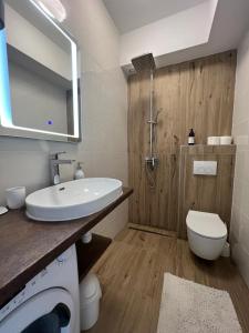 een badkamer met een wastafel, een toilet en een spiegel bij V&T Apartment in Brela
