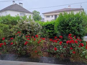 a garden of red flowers in front of a house at Maison avec extérieur et arrivée autonome - Aurillac in Aurillac