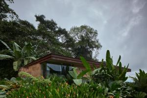 Κήπος έξω από το ACHIOTÉ Architectural Gem - Adults Only