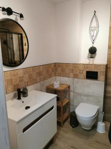 uma casa de banho com um WC branco e um espelho. em Under the Hill 1 em Bad Muskau