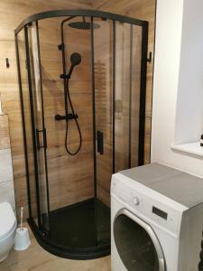 a shower with a glass door next to a washing machine at Under the Hill 1 in Bad Muskau