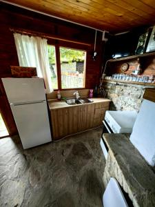 a kitchen with a refrigerator and a sink at Фильовата къща in Zheravna