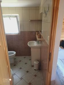 a small bathroom with a sink and a toilet at Sosnowy Raj - domki na Mazurach in Maradki