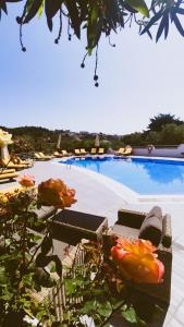 a large swimming pool with chairs and flowers next to it at Spitaki Guest House in Megali Ammos