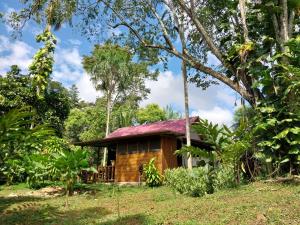 une petite maison en bois au milieu d'une forêt dans l'établissement JARDIN DE LAS MUSAS, à Puerto Maldonado