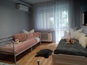 Posedenie v ubytovaní Sára Apartman Nyíregyháza