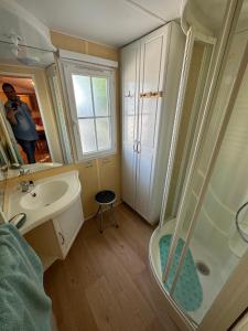 La salle de bains est pourvue d'une douche et d'un lavabo. dans l'établissement mobil-home cosy, calme, therme, aquensis, casino, à Bagnères-de-Bigorre