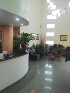 un vestíbulo con sillas y plantas en un edificio en Hotel Balisa, en Níjar