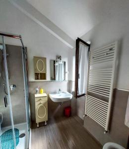 a bathroom with a sink and a shower at La Casa di Cesarina in Celle sul Rigo