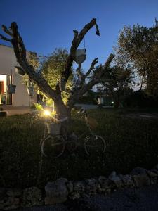 una bicicletta parcheggiata vicino a un albero nell'erba di A Lu Fanizza a Cutrofiano