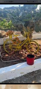 Gallery image of Dionisia apartments 8 in Kos Town