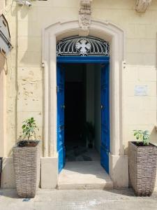 una porta blu con due piante in vaso davanti di Olivias a Qormi