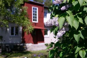 une maison rouge et blanche avec un arbre aux fleurs violettes dans l'établissement Lovely nest in Nõmme, à Tallinn