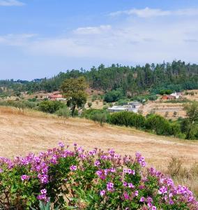 a field with purple flowers in the middle of a field at Quinta do Feonix in Martinchel
