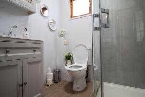 a bathroom with a toilet and a glass shower at tranquil log cabin in Shepton Mallet
