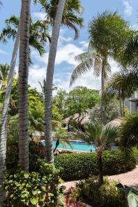 Blick auf den Pool des Resorts mit Palmen in der Unterkunft Crane's Beach House Boutique Hotel & Luxury Villas in Delray Beach