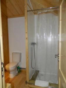a bathroom with a shower and a toilet in a room at Tree Pool Villa in Arcos de Valdevez