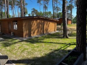 een kleine hut in het bos met een boom bij Domek Dębowy 2 in Lubniewice