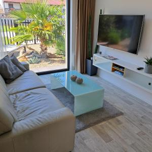 a living room with a couch and a tv at Palm Garden Apartment 1 in Mikulov