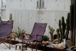 two purple chairs in a garden with cactus at 伊莉莎白甜夜 in Magong