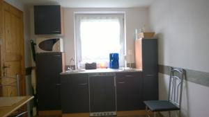 eine Küche mit einem schwarzen Kühlschrank und einem Fenster in der Unterkunft Ferienwohnung Witzig Inh Rita Weitmann in Ingelheim am Rhein