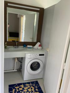 ein Badezimmer mit einer Waschmaschine und einem Waschbecken in der Unterkunft NIKOTOU - Manganao in Saint-François
