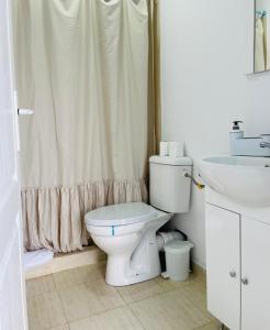 a bathroom with a toilet and a sink and a shower at Blue Sky Transalpina in Săsciori