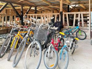 a group of bikes parked next to each other at Holiday home BRÅLANDA VI in Brålanda