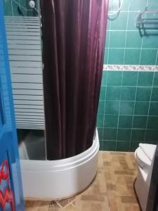La salle de bains est pourvue d'un rideau de douche et de toilettes. dans l'établissement Sang Yoo Mountain View Tagaytay Bed and Breakfast - Taal Lake View, à Tagaytay