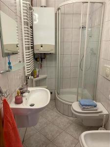 ein Bad mit einem Waschbecken, einer Dusche und einem WC in der Unterkunft Pokoje W Pięknej Kamienicy W Centrum W Głogówku in Głogówek