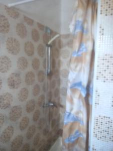 y baño con ducha y cortina de ducha. en La casita de Ahinoan. en Barbate