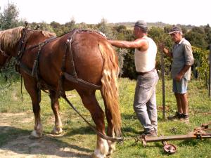 two men standing next to a horse pulling a plow at Casa Elisabetta in Limite