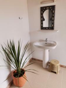 a bathroom with a sink and a potted plant at Ksar Montana Gîtes, Chambres piscine in Taforhalt