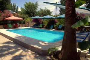 Bazén v ubytování Kilim Hotel nebo v jeho okolí