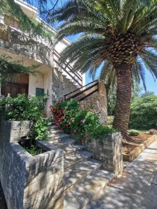 una palmera junto a un edificio con una palmera en Apartment Kira, en Ližnjan